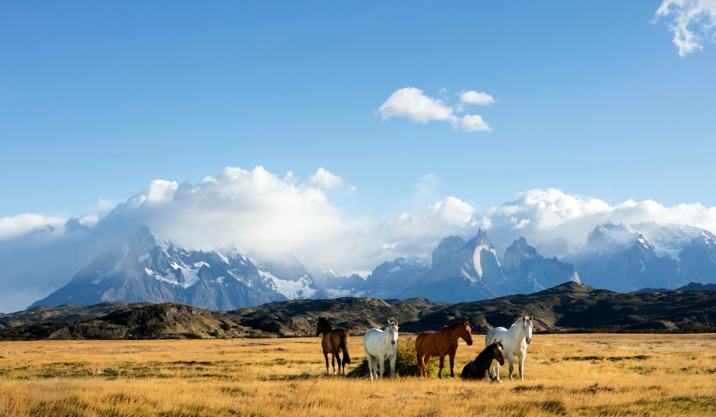 Torres del Paine & Wild Patagonia